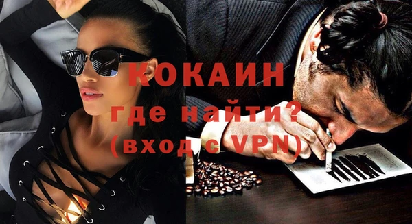 амф Горняк