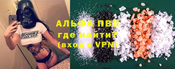 PSILOCYBIN Волосово
