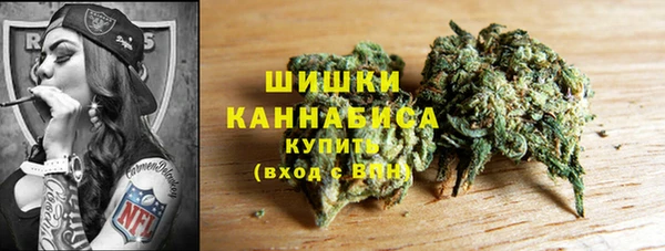 дживик Володарск